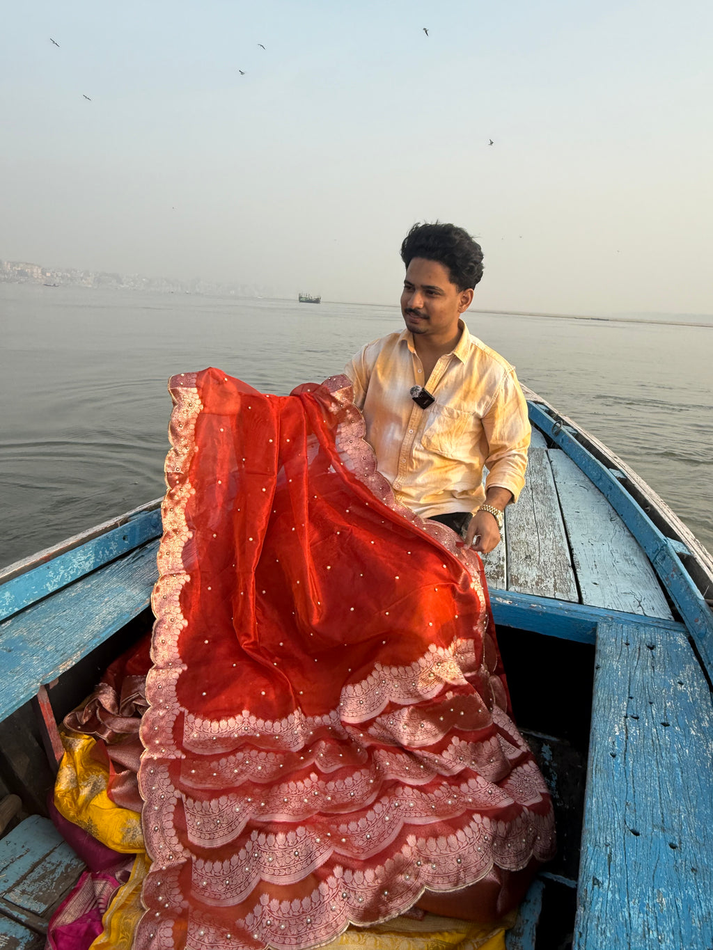 Banarasi Tissue Saree with Aari Work on all over Body with Intricate scallop border and Pallu