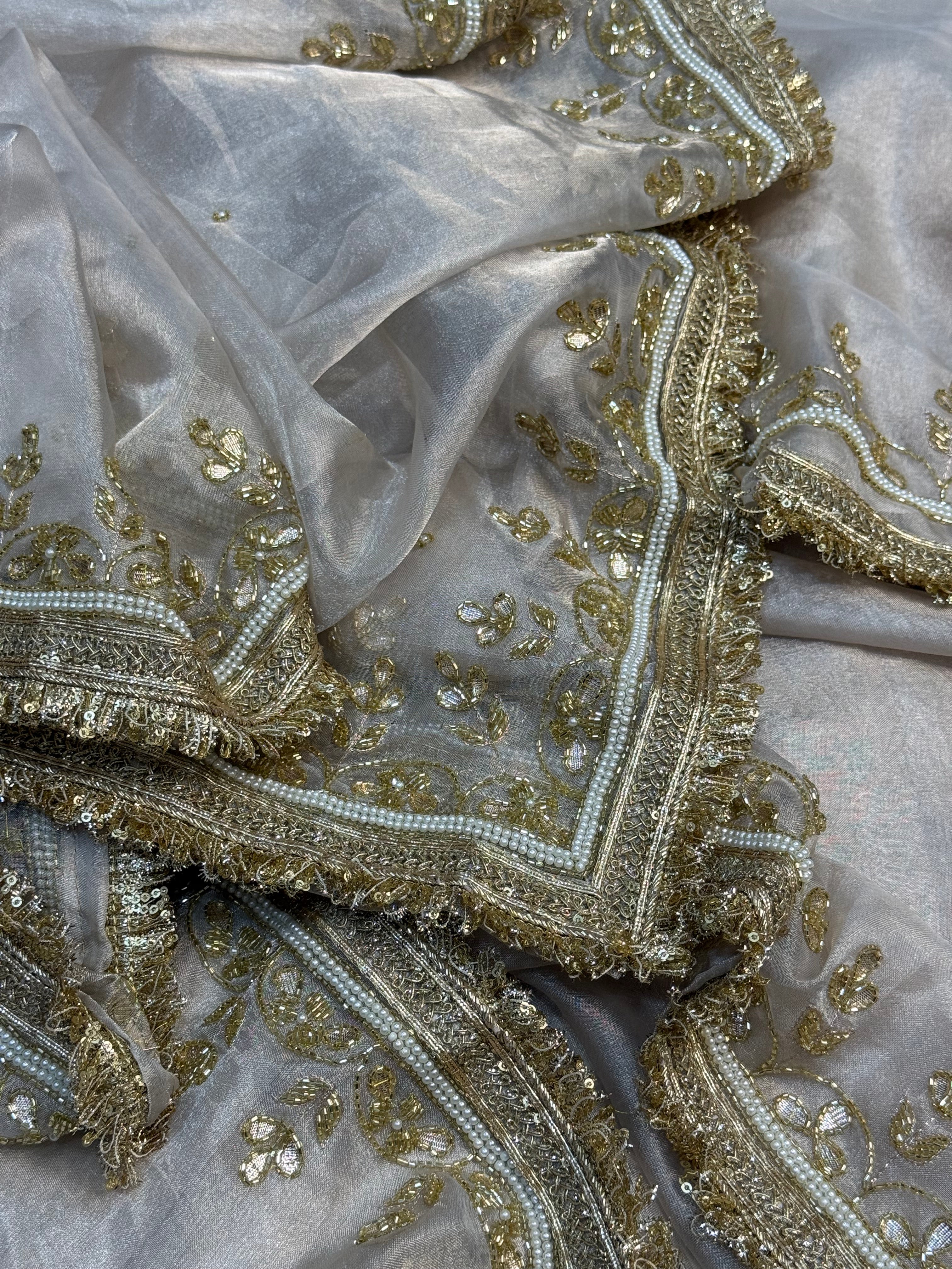 “TARA SUTARIA” pure tissue Banarasi saree