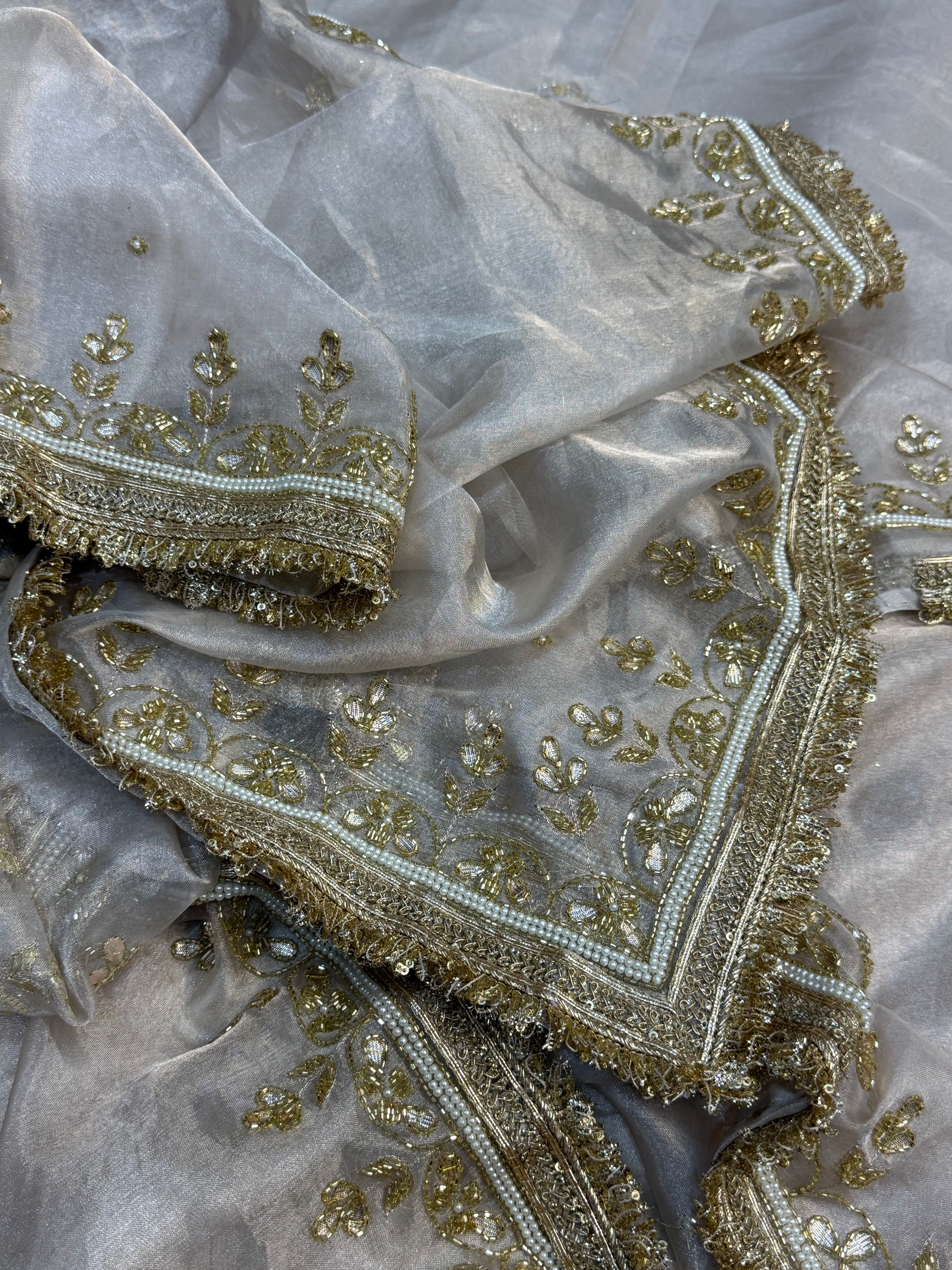 “TARA SUTARIA” pure tissue Banarasi saree